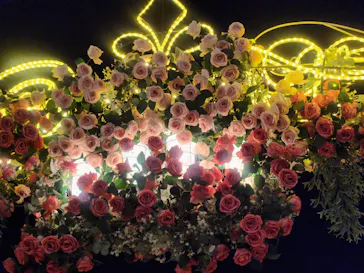 ひらかたパークに投稿された画像（2024/11/3）