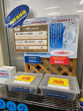 竹島水族館に投稿された画像（2024/11/3）