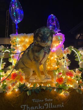 修善寺虹の郷に投稿された画像（2024/11/3）