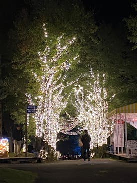 修善寺虹の郷に投稿された画像（2024/11/3）