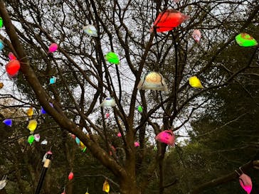 神戸六甲ミーツ・アート2025 beyondに投稿された画像（2024/11/3）