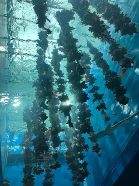 仙台うみの杜水族館に投稿された画像（2024/11/3）