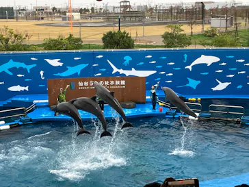 仙台うみの杜水族館に投稿された画像（2024/11/3）