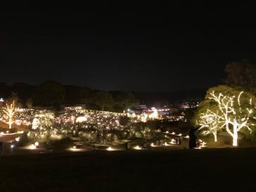 いばらきフラワーパークに投稿された画像（2024/11/3）