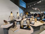 特別展「鳥 ～ゲノム解析が解き明かす新しい鳥類の系統～」国立科学博物館に投稿された画像（2024/11/3）