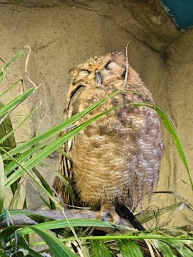 那須どうぶつ王国に投稿された画像（2024/11/3）