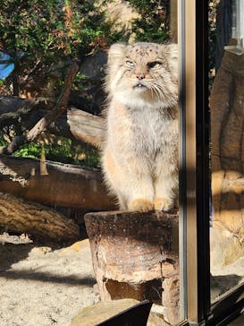 那須どうぶつ王国に投稿された画像（2024/11/3）