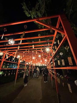 国営昭和記念公園 秋の夜散歩に投稿された画像（2024/11/3）