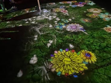 NAKED夜さんぽ™ 石川・那谷寺に投稿された画像（2024/11/3）