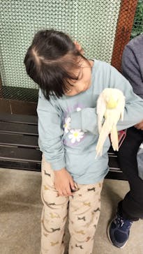 アニタッチ 東京ドームシティに投稿された画像（2024/11/3）