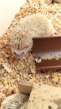 アニタッチ 東京ドームシティに投稿された画像（2024/11/3）