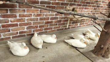 アニタッチ 東京ドームシティに投稿された画像（2024/11/3）