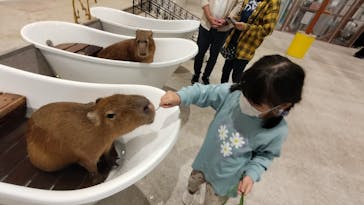 アニタッチ 東京ドームシティに投稿された画像（2024/11/3）