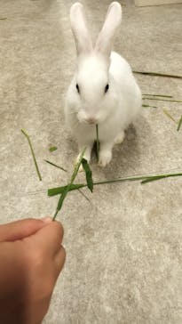 アニタッチ 東京ドームシティに投稿された画像（2024/11/3）