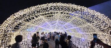 東京メガイルミに投稿された画像（2024/11/3）