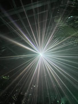 京都府立植物園　LIGHT CYCLES KYOTOに投稿された画像（2024/11/3）