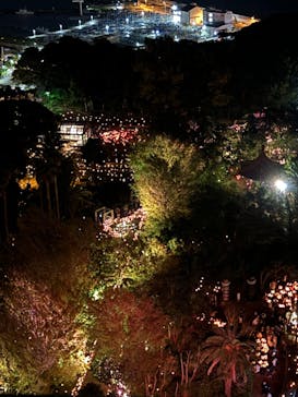 江の島シーキャンドルに投稿された画像（2024/11/3）