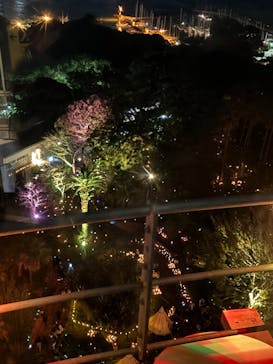 江の島シーキャンドルに投稿された画像（2024/11/3）