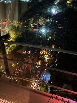 江の島シーキャンドルに投稿された画像（2024/11/3）