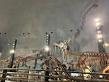福井県立恐竜博物館に投稿された画像（2024/11/3）