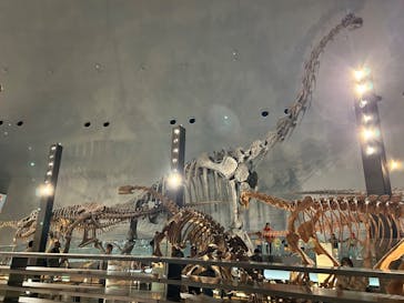 福井県立恐竜博物館に投稿された画像（2024/11/3）