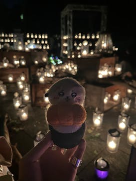 江の島シーキャンドルに投稿された画像（2024/11/3）