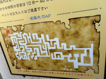 ストーンミュージアム博石館に投稿された画像（2024/11/3）