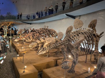 福井県立恐竜博物館に投稿された画像（2024/11/3）