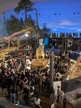 福井県立恐竜博物館に投稿された画像（2024/11/3）