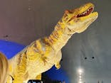 福井県立恐竜博物館に投稿された画像（2024/11/3）