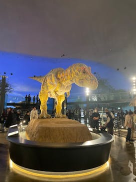 福井県立恐竜博物館に投稿された画像（2024/11/3）