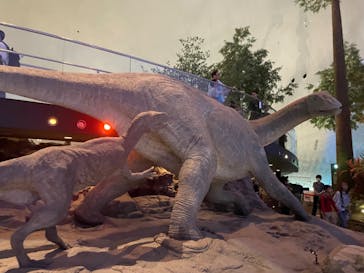 福井県立恐竜博物館に投稿された画像（2024/11/3）