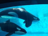 名古屋港水族館に投稿された画像（2024/11/3）