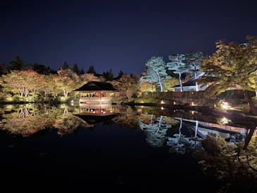 国営昭和記念公園 秋の夜散歩に投稿された画像（2024/11/3）