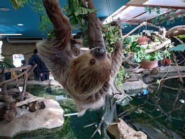 那須どうぶつ王国に投稿された画像（2024/11/3）