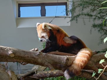 那須どうぶつ王国に投稿された画像（2024/11/3）