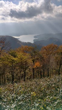 野尻湖テラスに投稿された画像（2024/11/3）