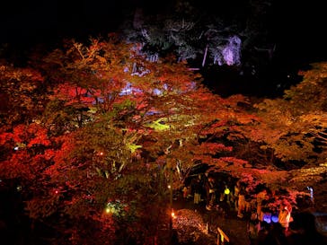 NAKED夜さんぽ™ 石川・那谷寺に投稿された画像（2024/11/3）