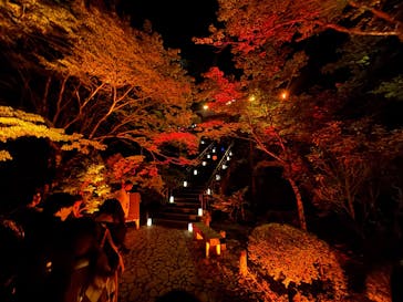 NAKED夜さんぽ™ 石川・那谷寺に投稿された画像（2024/11/3）