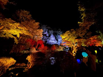 NAKED夜さんぽ™ 石川・那谷寺に投稿された画像（2024/11/3）