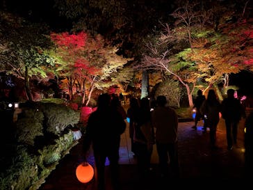 NAKED夜さんぽ™ 石川・那谷寺に投稿された画像（2024/11/3）