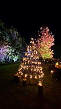 世羅高原農場に投稿された画像（2024/11/3）