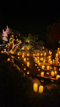 世羅高原農場に投稿された画像（2024/11/3）