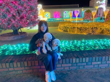 神戸イルミナージュに投稿された画像（2024/11/3）