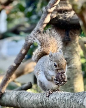 那須どうぶつ王国に投稿された画像（2024/11/3）