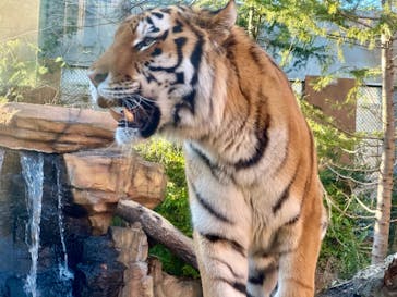 那須どうぶつ王国に投稿された画像（2024/11/3）