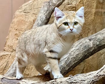 那須どうぶつ王国に投稿された画像（2024/11/3）