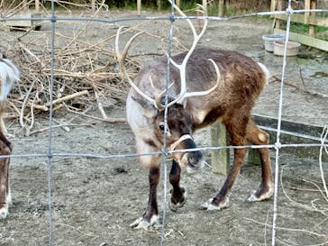 那須どうぶつ王国に投稿された画像（2024/11/3）