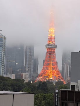 東京タワーに投稿された画像（2024/11/3）