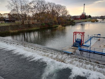 サケのふるさと 千歳水族館に投稿された画像（2024/11/3）